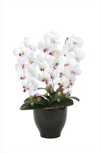 光触媒 光の楽園 胡蝶蘭セリースW AB 22K120約 幅42×奥行40×高さ66cm人工観葉植物 造花 フェイクフラワー フラワーアレンジメント アートフラワー おしゃれ インテリア ギフト お祝い