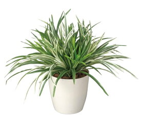 【マラソン中P3倍！4日20時から】光触媒 光の楽園 ドラセナミックス 240A70約 幅45×奥行45×高さ38cm人工植物 造花 フェイクグリーン おしゃれ インテリア 小型 卓上