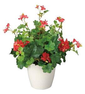 yubNtCf[2020P3{zG} ̊y [jE 244B75 35×s35×45cmlHA  tFCNO[  CeA ^  tFCNt[