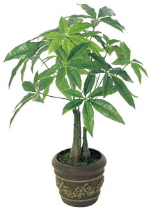 yubNtCf[2020P3{zG} ̊y pL|bgM 252K50 28×s28×41cmlHA  tFCNO[  CeA ^  ~j