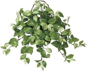 X[p[Z[P5{IG} ̊y Ǌ|z 268A60 54×s28×50cmlHA  tFCNO[  CeA ǖ Ǌ| ~j