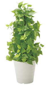 G} ̊y |[C|gX 381B120 36×s36×82cmlHA  tFCNO[  CeA ^ 