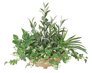 yubNtCf[2020P3{zG} ̊y 񂹐AI[u 2348A100 50×s45×48cmlHA  tFCNO[  CeA ^ 