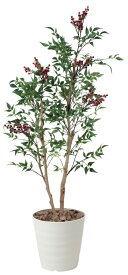 楽天市場 南天 生花の通販