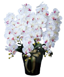 G} ̊y CӒ5{W AB 447A300 60×s50×76cmlHϗtA  tFCNt[ t[AWg A[gt[  CeA Mtg j