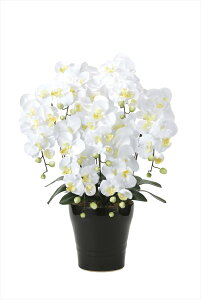 G} ̊y LOӒ7{W 451A200 60×s48×76cmlHϗtA  tFCNt[ t[AWg A[gt[  CeA Mtg j