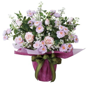 G} ̊y ACXsN 464K85 52×s36×50cmlHϗtA  tFCNO[ tFCNt[ t[AWg  CeA 