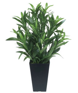 y}\P3{zG} ̊y XpC_[ 518A70 33×s33×50cmlHA  tFCNO[  CeA ^ 