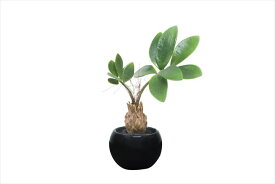 【マラソン中P3倍！4日20時から】光触媒 光の楽園 パキラインポット ポリ製 520A25約 幅14×奥行15×高さ20cm人工植物 造花 フェイクグリーン おしゃれ インテリア 小型 卓上 ミニ