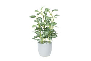 G} ̊y ~js|GX^|bg 525A25 14×s14×27cmlHA  tFCNO[  CeA ^  ~j