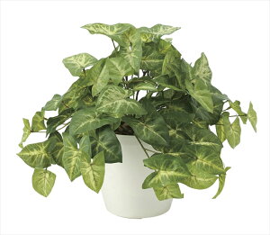 G} ̊y tbVJ[W[643A50 40×s40×30cmlHA  tFCNO[  CeA ^  ~j