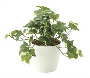 yubNtCf[2020P3{zG} ̊y tbVACr[S 646A35 30×s30×25cmlHA  tFCNO[  CeA ^  ~j