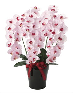 G} ̊y v~AӒ5{P 652K200 50×s45×75cmlHϗtA  tFCNt[ t[AWg A[gt[  CeA Mtg j