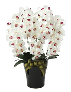 G} ̊y v~AӒ5{W AB 653K200 50×s45×75cmlHϗtA  tFCNt[ t[AWg A[gt[  CeA Mtg j