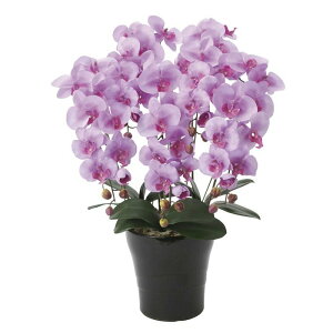 光触媒 光の楽園 クイーン胡蝶蘭5本立L 655A150約 幅53×奥行50×高さ74cm人工観葉植物 造花 フェイクフラワー フラワーアレンジメント アートフラワー おしゃれ インテリア ギフト お祝い