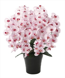 G} ̊y v~AӒ7{P 656A250 55×s50×75cmlHϗtA  tFCNt[ t[AWg A[gt[  CeA Mtg j