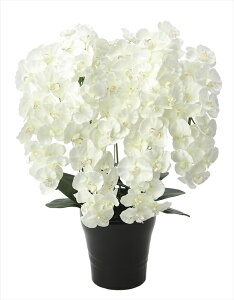 G} ̊y v~AӒ7{W 658A250 55×s50×75cmlHϗtA  tFCNt[ t[AWg A[gt[  CeA Mtg j