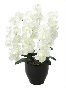 G} ̊y v~AӒW 659K135 45×s40×68cmlHϗtA  tFCNt[ t[AWg A[gt[  CeA Mtg j