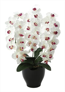 G} ̊y v~AӒW AB 661K135 45×s40×68cmlHϗtA  tFCNt[ t[AWg A[gt[  CeA Mtg j