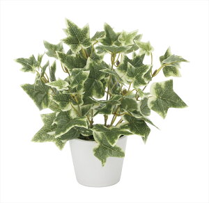 yubNtCf[2020P3{zG} ̊y ACr[ 834K30 22×s22×23cmlHA  tFCNO[  CeA ^  ~j