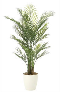 G} ̊y AJp[1.5 2108K380 80×s70×150cmlHϗtA  tFCNO[  CeA O^ ^ G} |