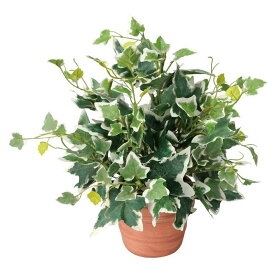 【マラソン中P3倍！4日20時から】光触媒 光の楽園 ホーランドアイビーS 262A25約 幅22×奥行22×高さ25cm人工植物 造花 フェイクグリーン おしゃれ インテリア 小型 卓上 ミニ