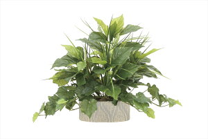 y}\P3{zG} ̊y tbV~bNX 874A100 55×s35×42cmlHA  tFCNO[  CeA ^ 