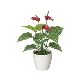 【マラソン中P3倍！4日20時から】光触媒 光の楽園 フレッシュアンスリューム 389A35約 幅35×奥行32×高さ40cm人工植物 造花 フェイクグリーン おしゃれ インテリア 小型 卓上 本物の葉のような質感