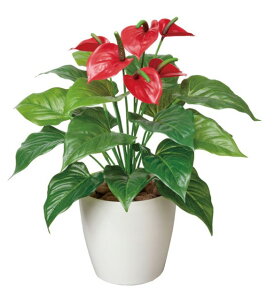 G} ̊y tbVAX[M 390A60 38×s38×43cmlHA  tFCNO[  CeA ^ 