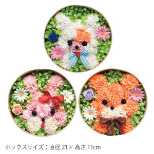 ~jAA[g Eh 3LTCY Aj}V[Y{bNXTCYFa21×11cm\[vt[ {bNX Aj} u[P ԑ   v[g {(ml-fd-p33)