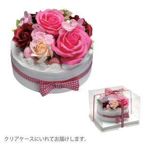 yubNtCf[ԒP5{z~jAA[g t[fR[VP[LNAP[XtP[XTCY : 20.5×20.5×14cm\[vt[ P[L AW u[P ԑ  