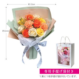 ~jAA[g GmAu[Ppܕt TCY : 22×32cm\[vt[ u[P ԑ   v[g(ml-p21)