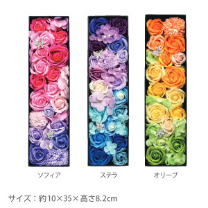 yubNtCf[2020P3{z~jAA[g O[X{bNX ` LTCYTCYF10×35×8.2cm\[vt[ {bNX u[P ԑ   v[g {(