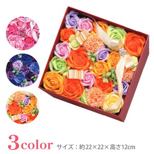 ~jAA[g O[X{bNX ` MTCYTCYF22×22×12cm\[vt[ {bNX u[P ԑ   v[g {(ml-fd-p27)