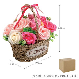 ~jAA[g ~jJg[oXPbgTCY : 17×s15×21cm\[vt[ oXPbg u[P ԑ   v[g(ml-p37)