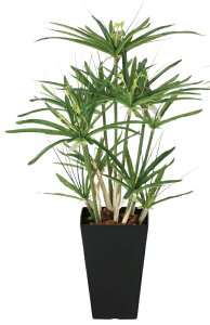 ���G�} ���̊y�� �p�s���X602296R100�� ��43×���s40×����60cm�l�H�A�� ���� �t�F�C�N�O���[�� ������� �C���e���A ���^ ���