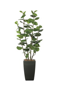 yubNtCf[ԒP5{zG} ̊y A[oV[O[v1.8 942A600 55×s45×180cmlHA  tFCNO[  CeA ^