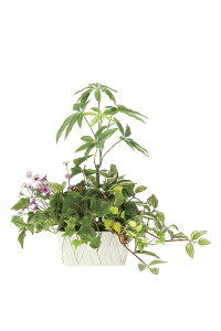 G} ̊y 񂹐ApL 2347A100 54×s30×50cmlHA  tFCNO[  CeA ^  ~j