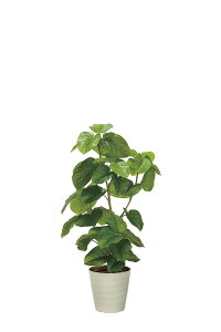 G} ̊y tbVDXEx[^1.3@2327a480 73×s60×130cmlHA  tFCNO[  CeA ^