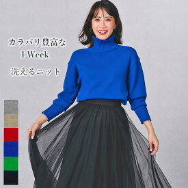 ニット レディース 秋冬 ハイネック 長袖 リブ ミドルゲージ ロール ロールネック 厚手 洗える ウォッシャブル カジュアル 1週間ニット きれいめ シンプル レッド/グリーン/ブルー/ベージュ/グレー/黒 Free BeltaAttrice