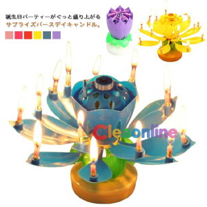 a yt 2Zbg 邭 o[XfCLh Lh TvCYLh ԕق邭 @̉ fB p[eB[ q  v[g j