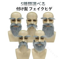 コスプレ パーティー 付け髭 フェイクヒゲ 5種類選べる 白ひげ 仮装 口ひげ グレー あごひげ ハロウィン …