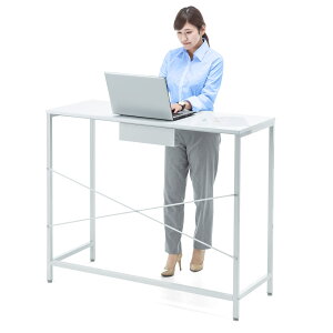 X^fBOfXN 120cm s48cm 100cm zCgm100-DESKF010n