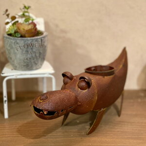 NRv^[ AeB[N  킢 Aؔ ~j|bg j I K[fjO 4843 uL