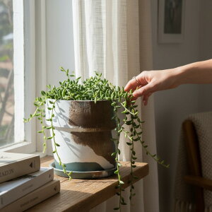 A[ovc|bg mfBbN 5 81084 i  _  Aؔ v^[ vc|bg }[u TCNf GR  a16.5cm