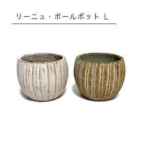 [jE{[|bg L Aؔ Zg |bg XgCv  T{e R[fbNX 򍪐A A K[fjO ϗtA A AB-GG-503