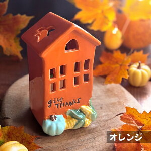 Lhz_[ Jg[nEX ^ K[fjO u IuWF  [bp̊X nEB HW30145