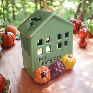 Lhz_[ Jg[nEX ^ K[fjO u IuWF  [bp̊X nEB HW30146