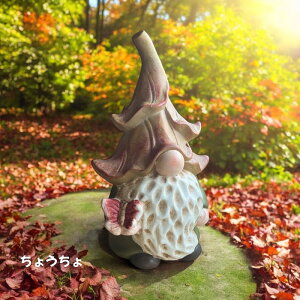 nEBh[ l ĂƂ 傤 Jg[ K[fjO u IuWF  nEB HW30108