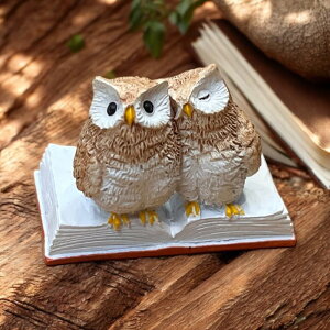 ~j`AAj} tNE ǂ ӂ낤 ȓ̐E u IuWF CeA v[g Mtg 킢  ̂ЂTCY ED11310A